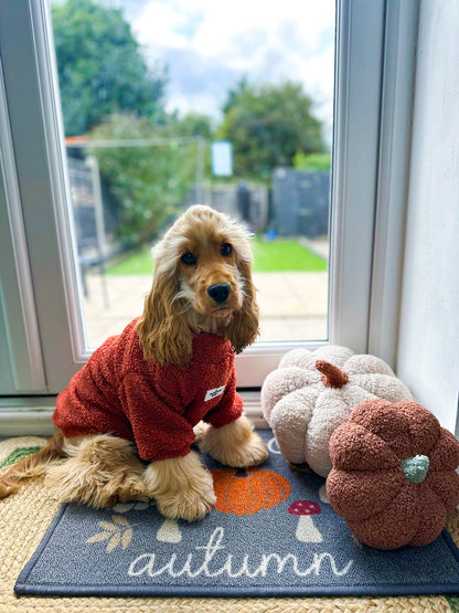 Teddy Fleece - Burnt Orange