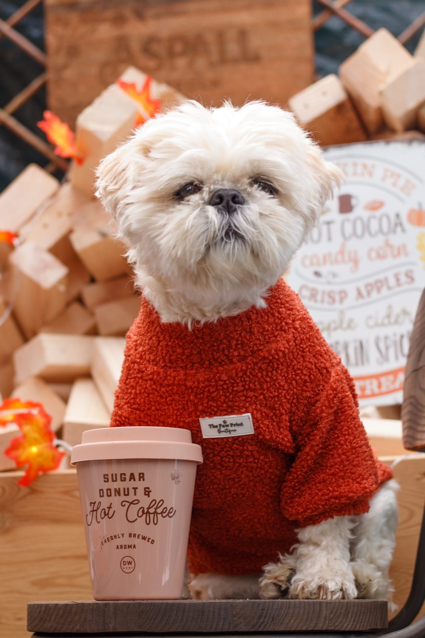 Teddy Fleece - Burnt Orange