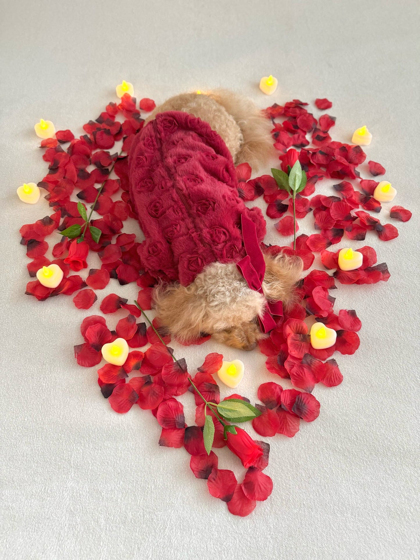 The Roses Fleece - Red