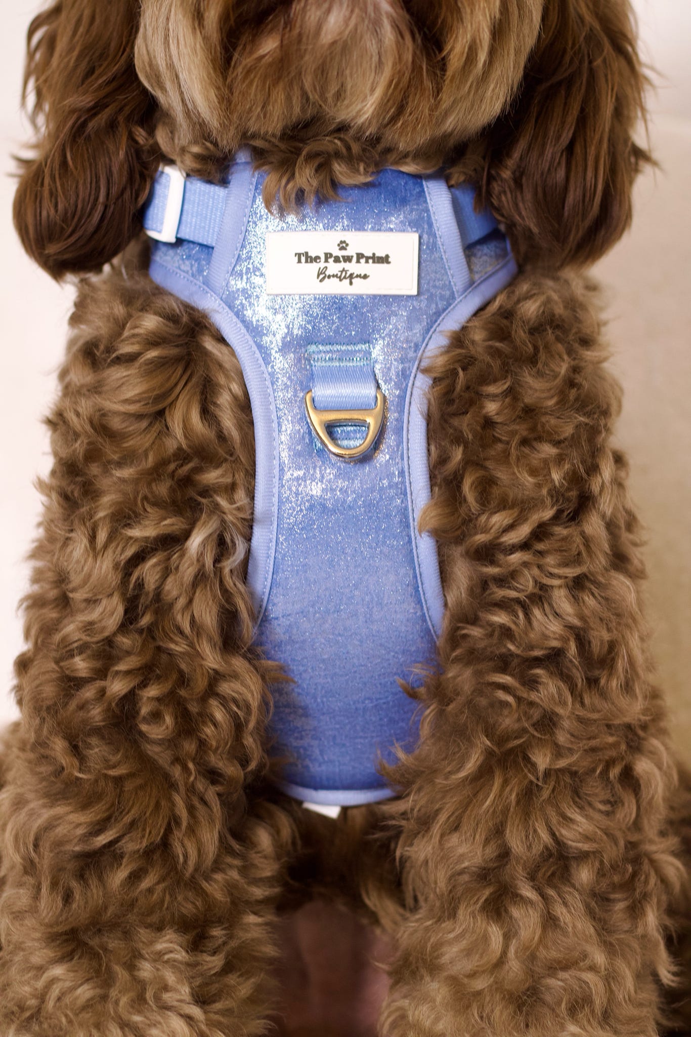 The Ocean Blue Adventure Paws Harness