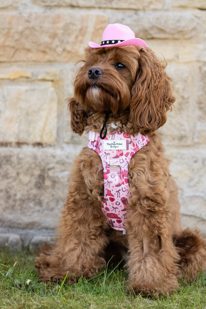 The Giddy up Pup Adventure Paws Harness