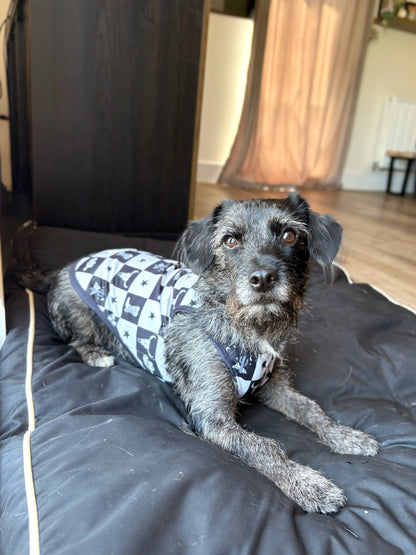 The Wild West Cooling Vest