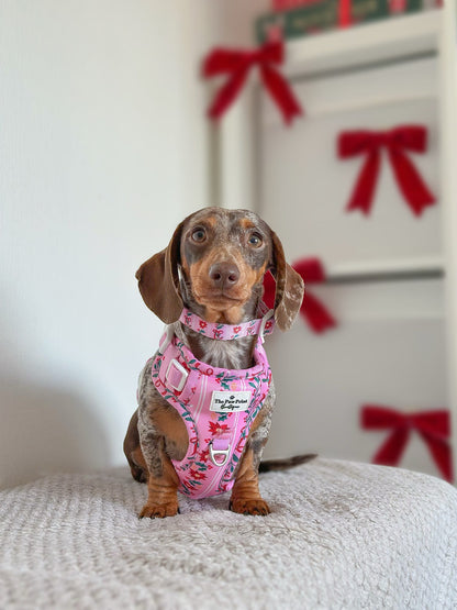 Merry Pinkmas Adventure Paws Harness