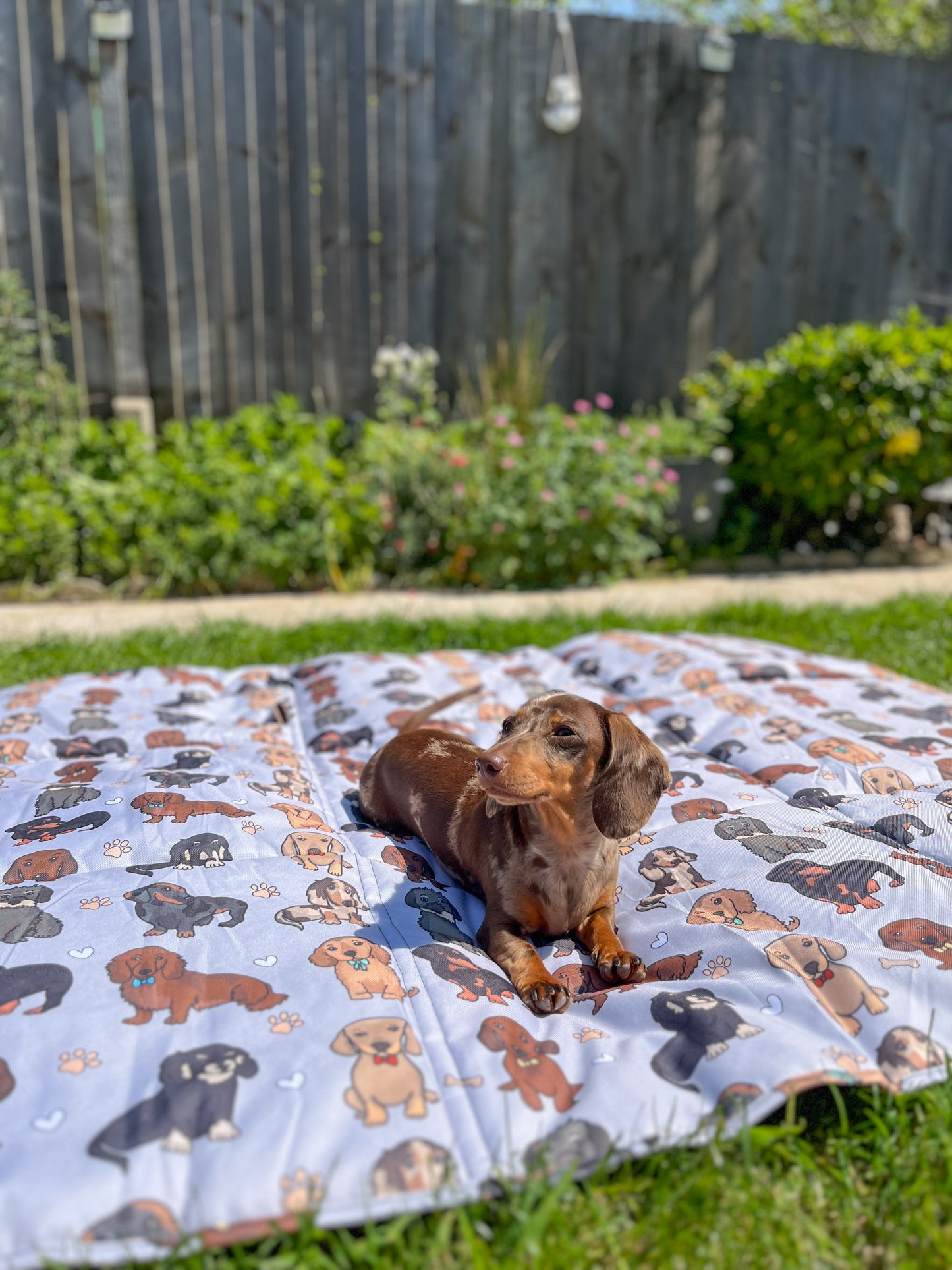 The Dachshund Picnic Mat