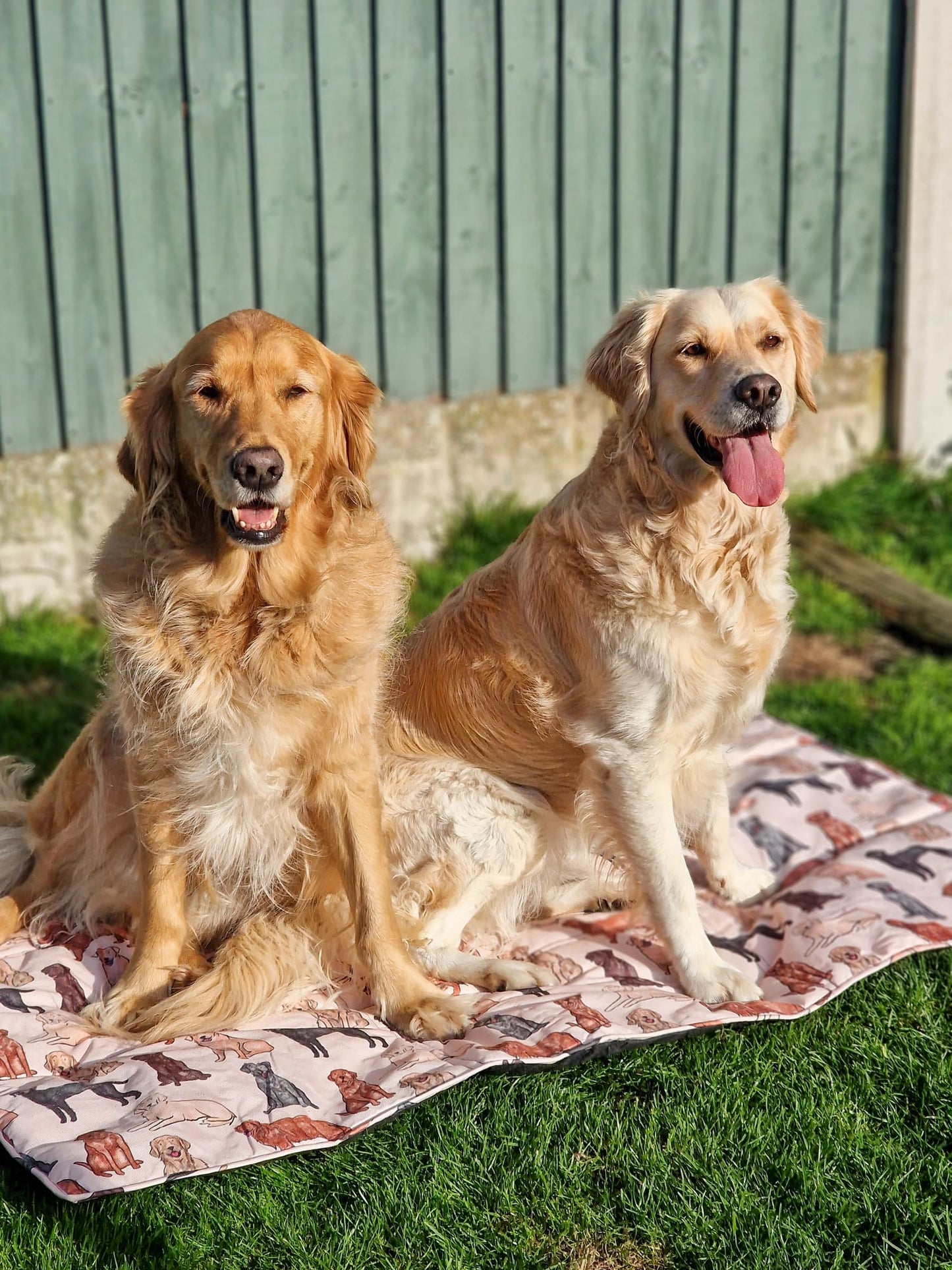 The Labrador / Retriever Travel Mat