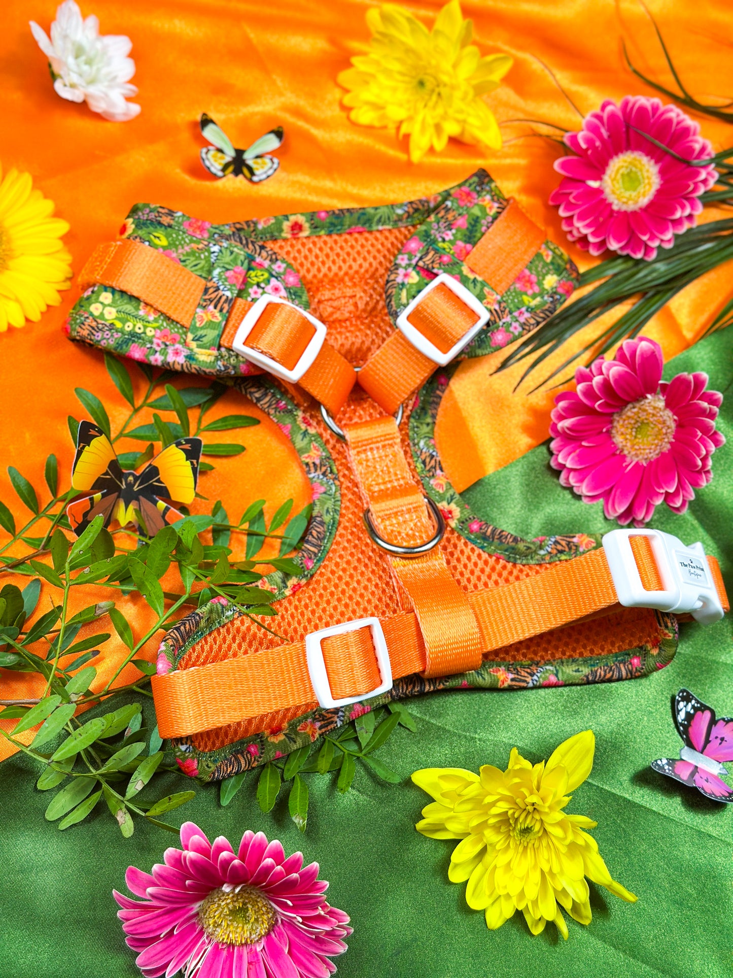 The Tiger who came to TPPB Adjustable Harness