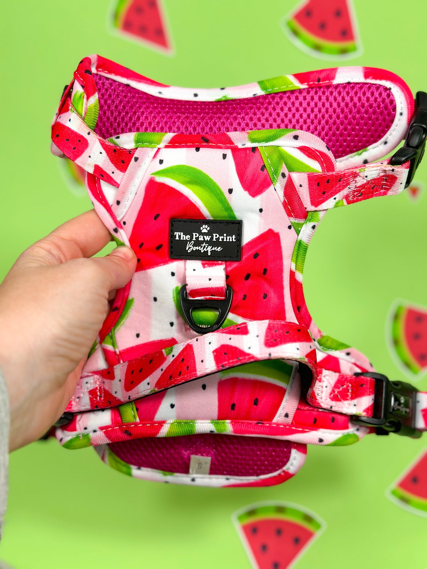 The Watermelon Sugar Adventure Paws Harness