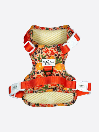 Winter Scents Adventure Paws Harness