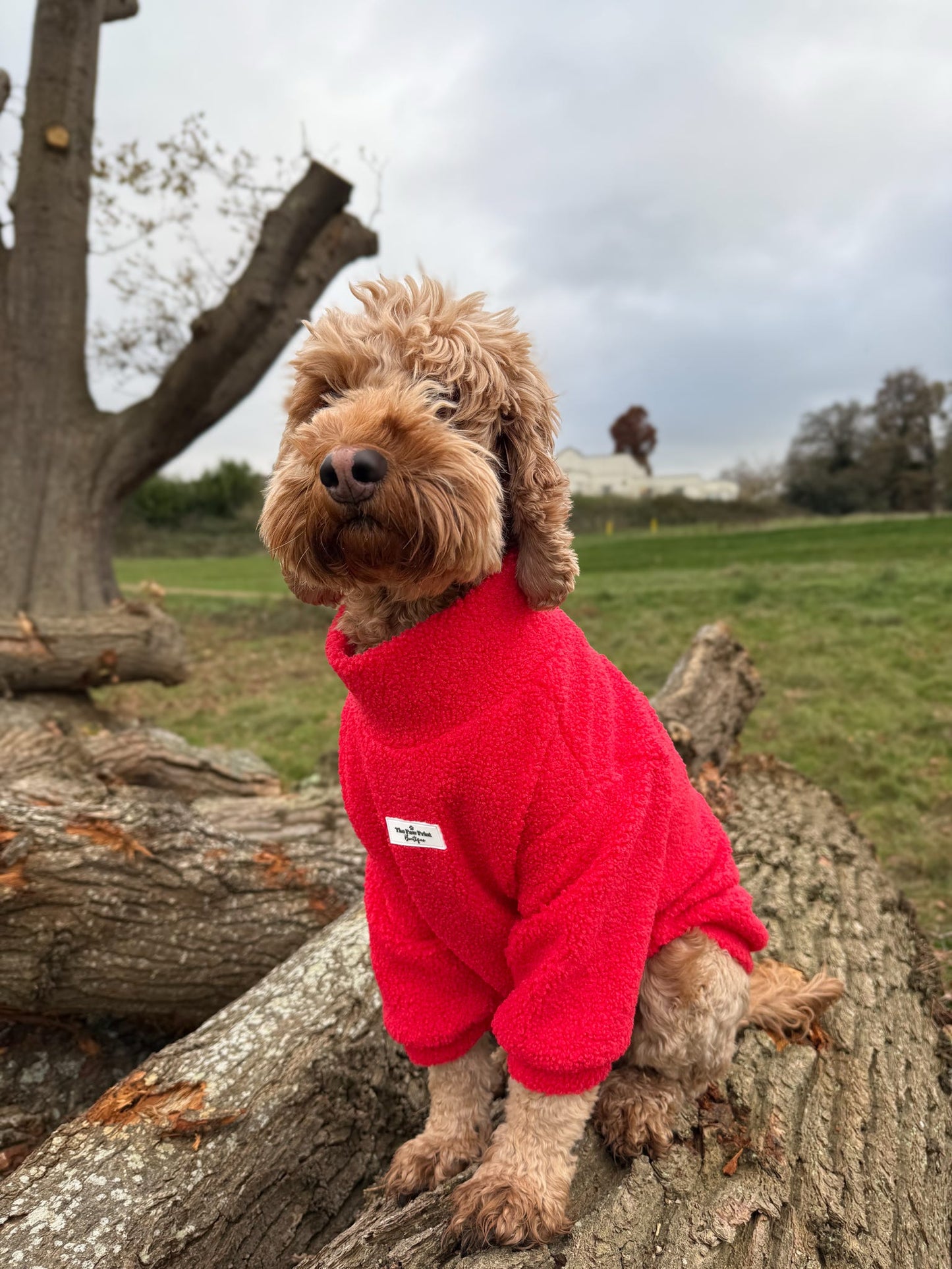 Teddy Fleece - Red Berry