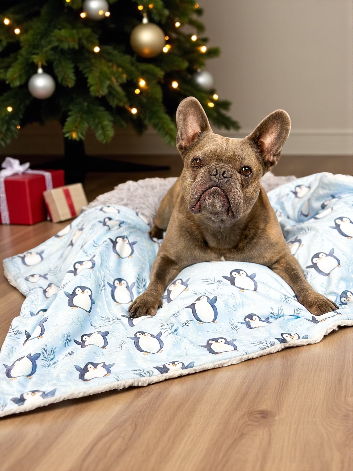 Percy Penguin Dog Blanket
