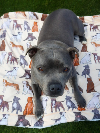 Staffy Dog Blanket
