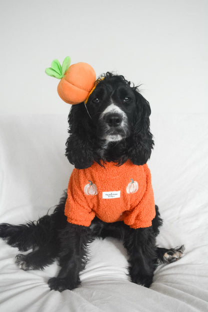 The Embroidered Pumpkins Teddy Fleece