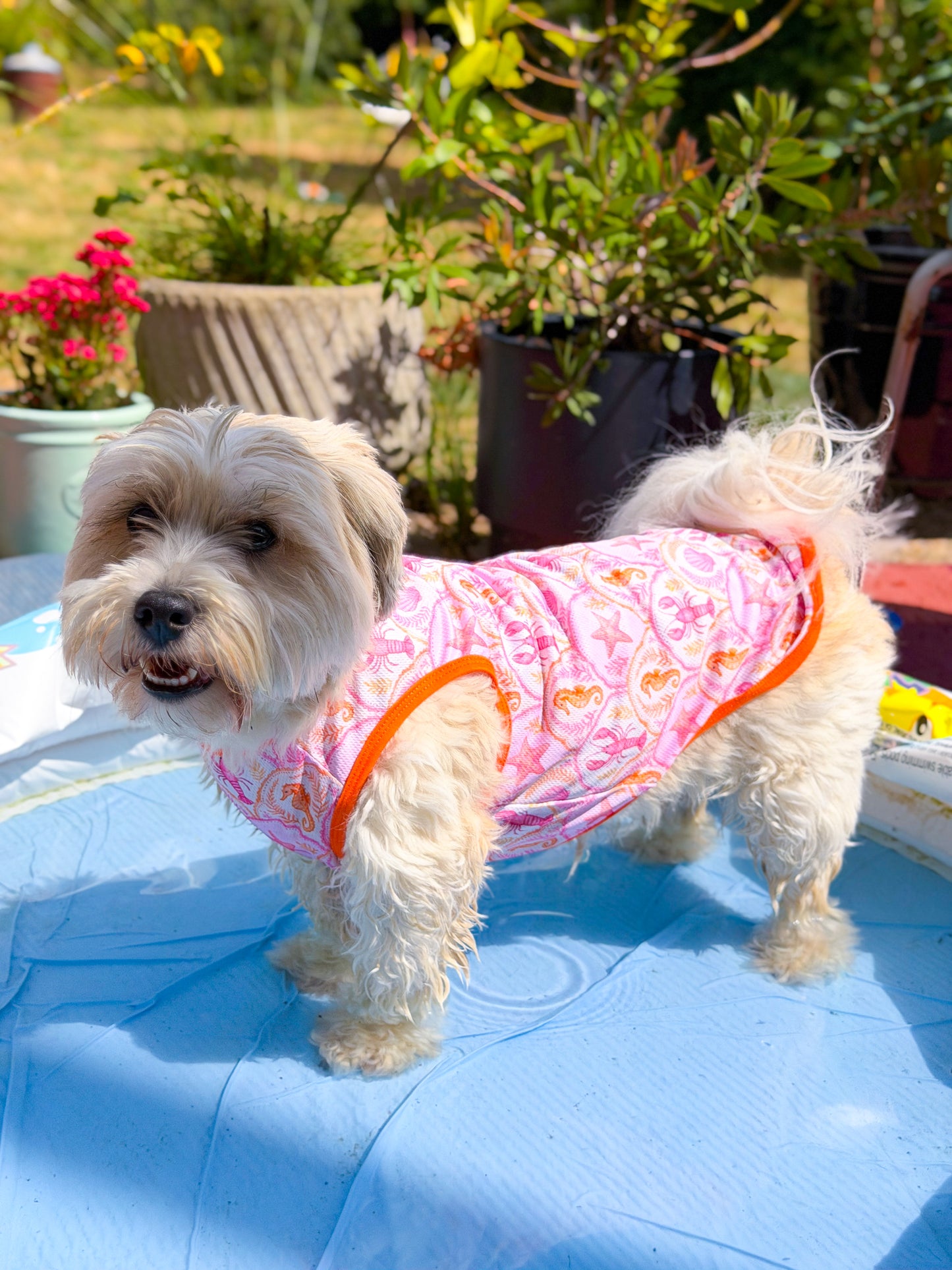 Under the Sea Cooling Vest