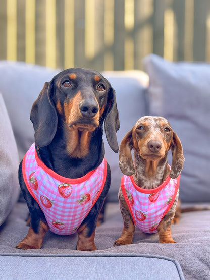 The Strawberry Gingham Cooling Vest