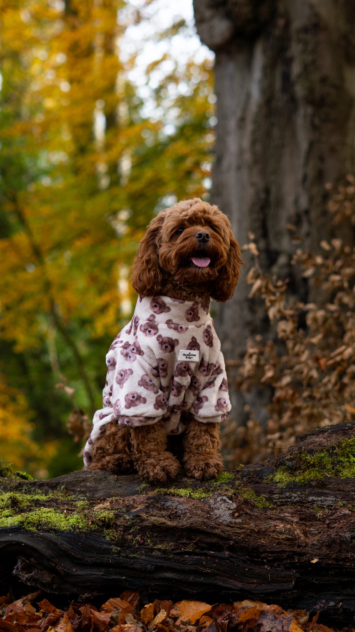 Little Bear Cub Snuggle Fleece