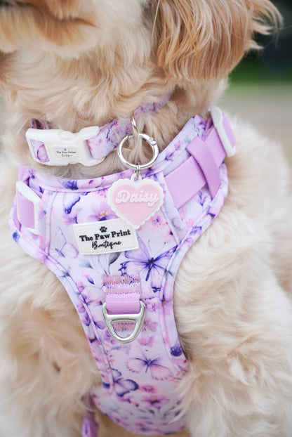 Butterfly Bliss Adventure Paws Harness
