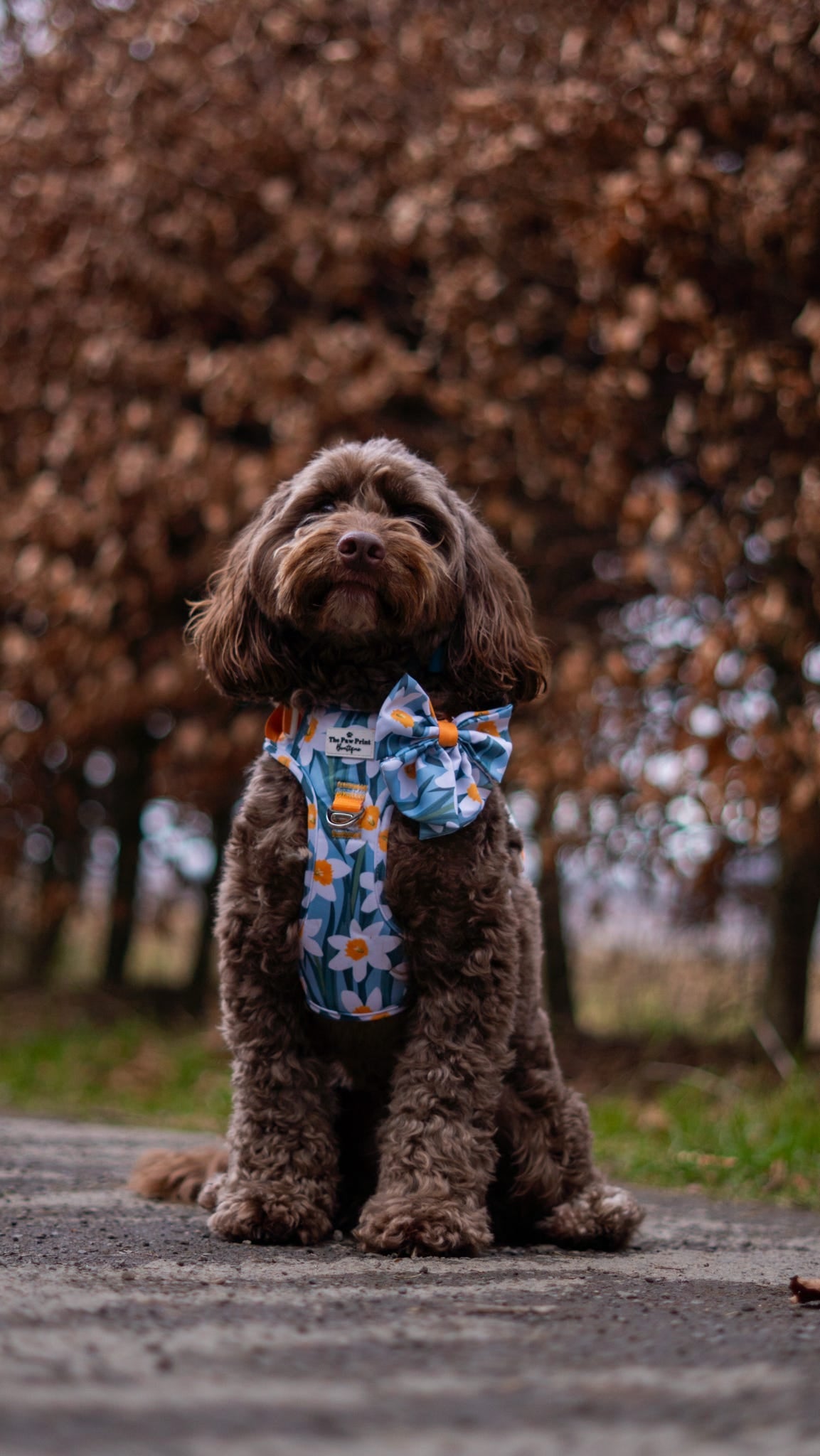 Daffodil Daze Bow Tie