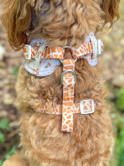 The Graceful Giraffe Adjustable Harness