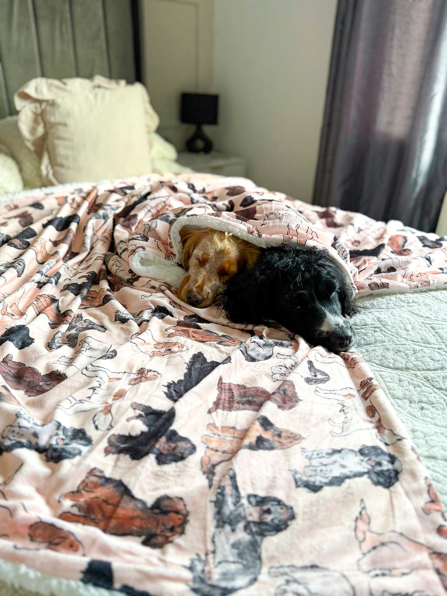 The Spaniel Human Blanket