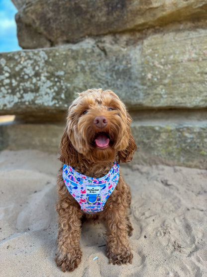 Santorini Seagulls Adjustable Harness