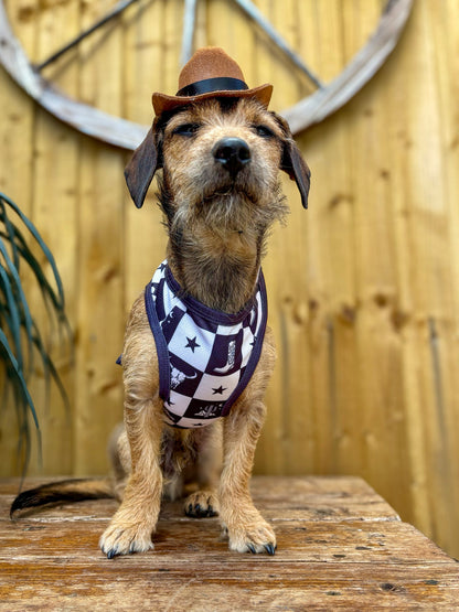 The Wild West Cooling Vest