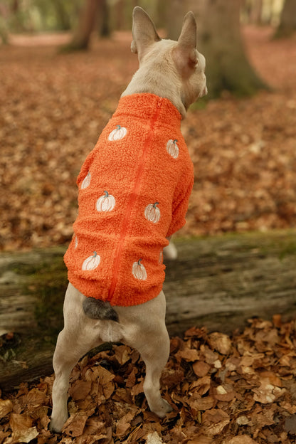 The Embroidered Pumpkins Teddy Fleece