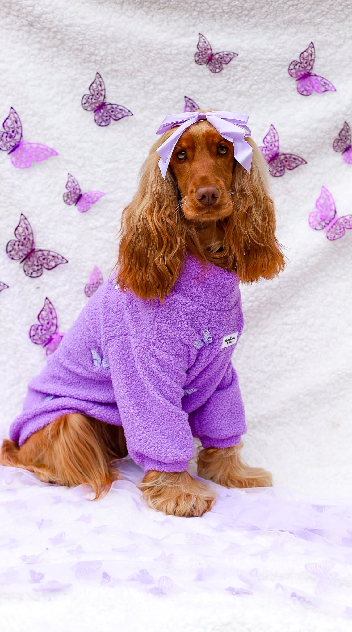 Teddy Fleece - Butterfly Bliss