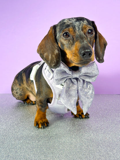The Lavish Lilac Bow Tie