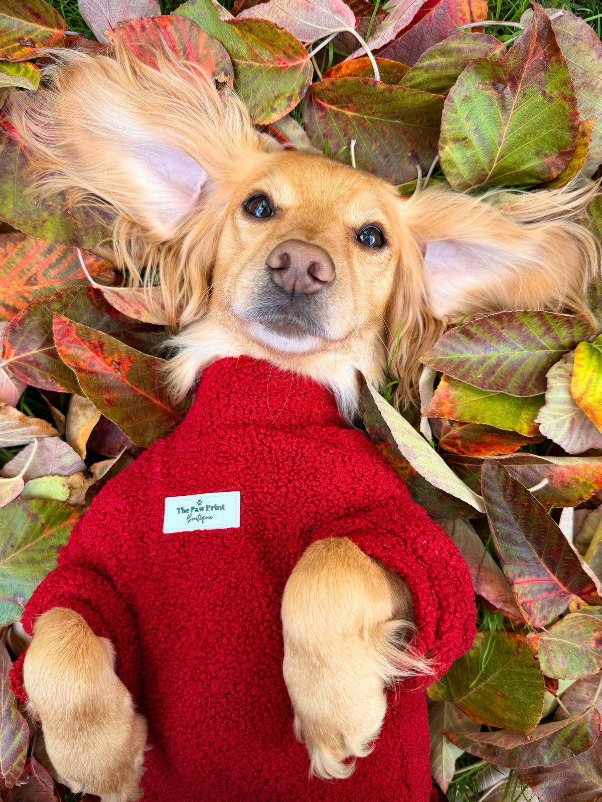 Teddy Fleece - Ruby Red