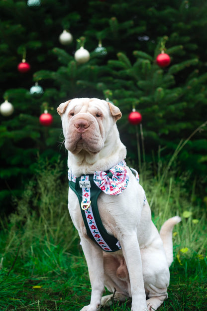 Festive Traditions Adventure Paws Harness