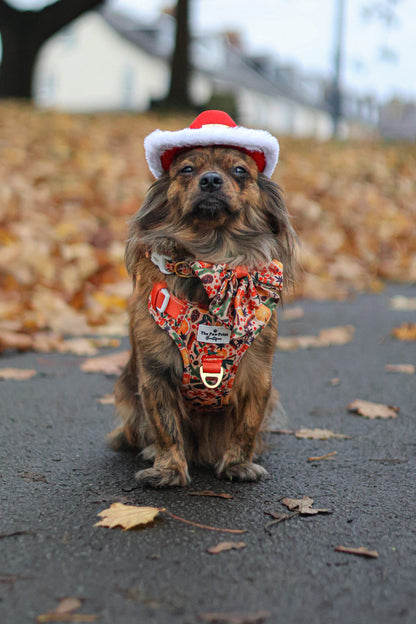 Winter Scents Adventure Paws Harness