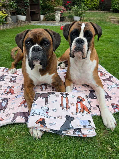The Boxer Bow Tie