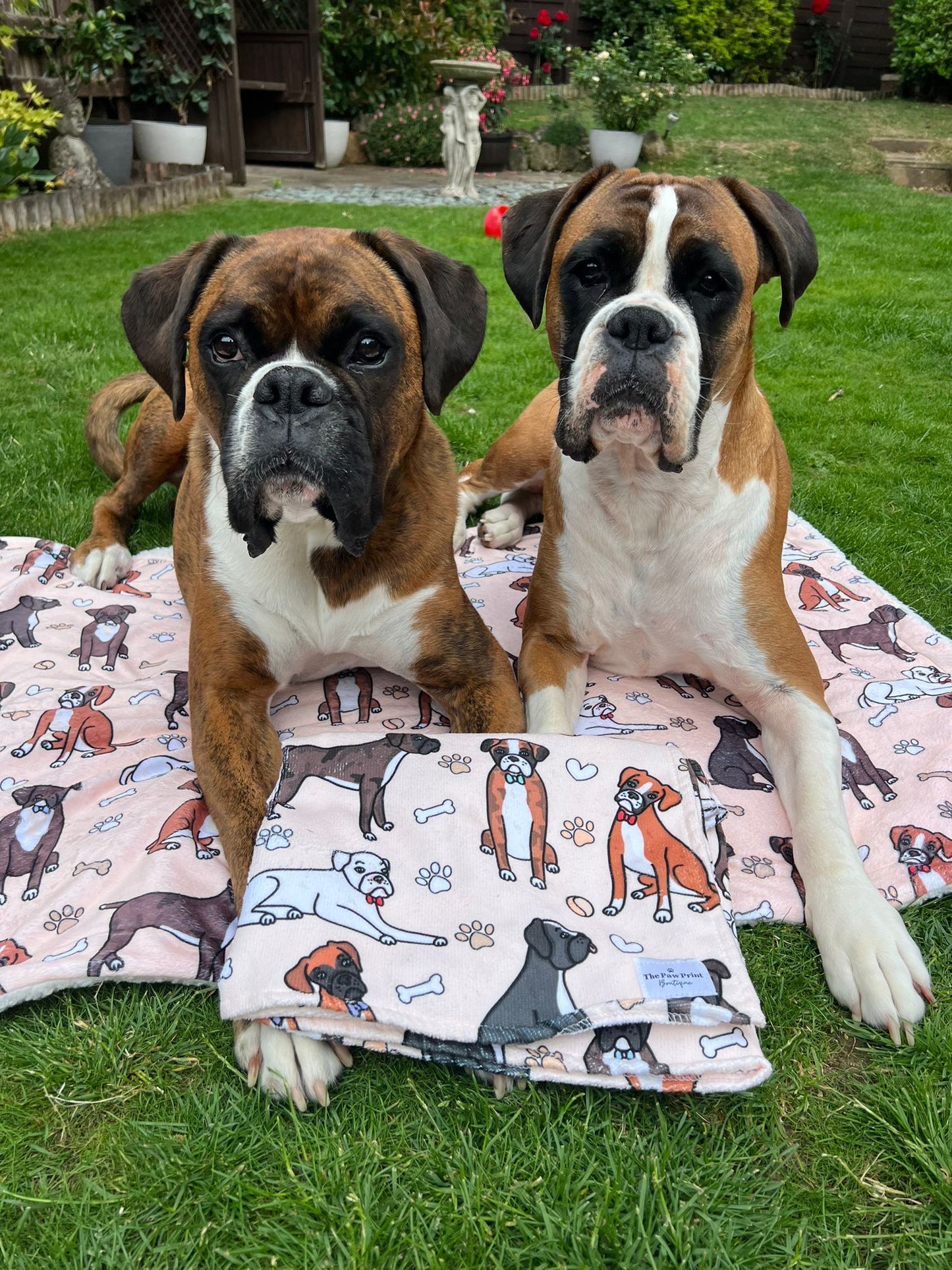 The Boxer Dog Blanket - Beige