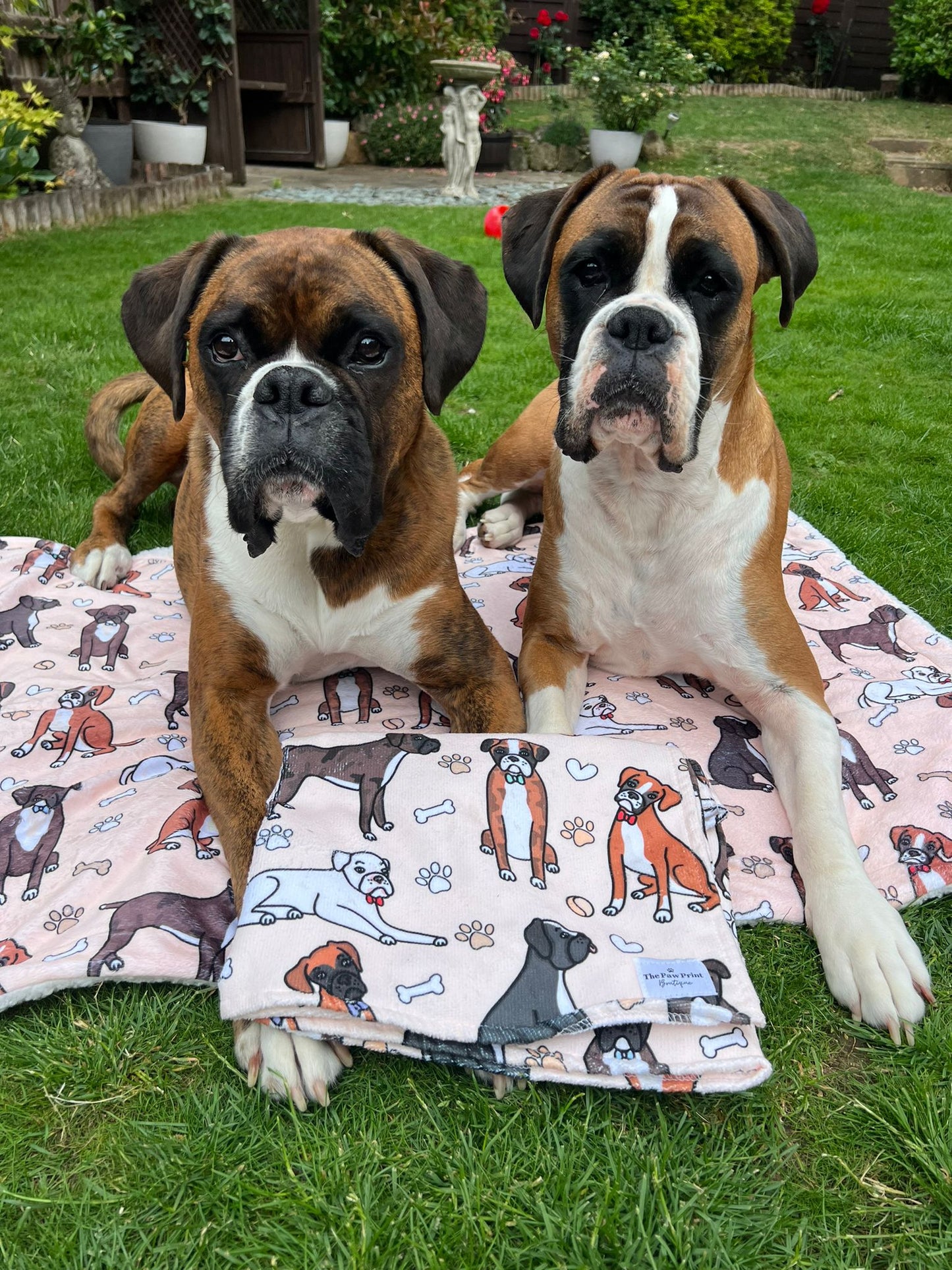 The Boxer Dog Towel - Beige