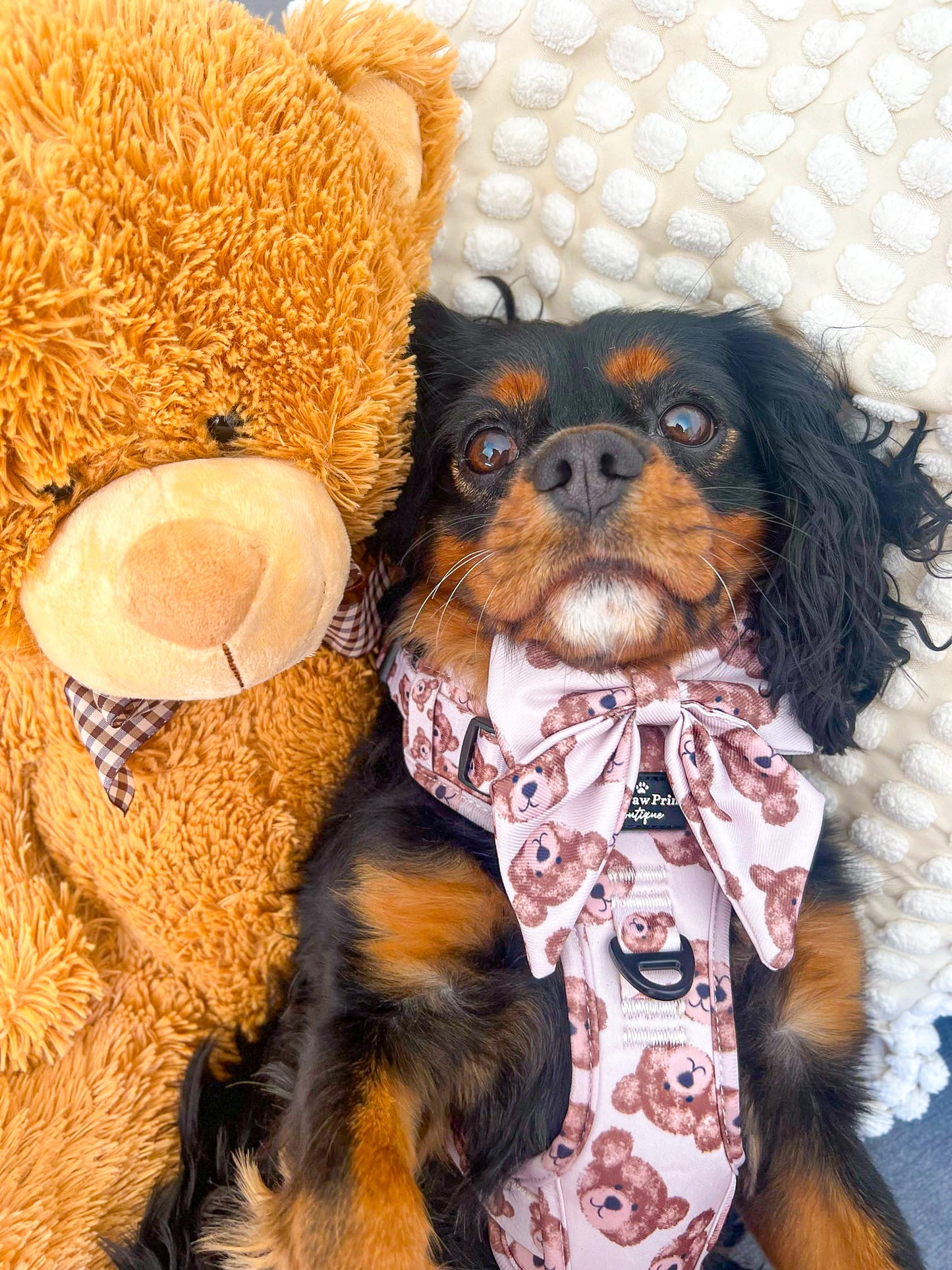 The Little Bear Cub Bow Tie