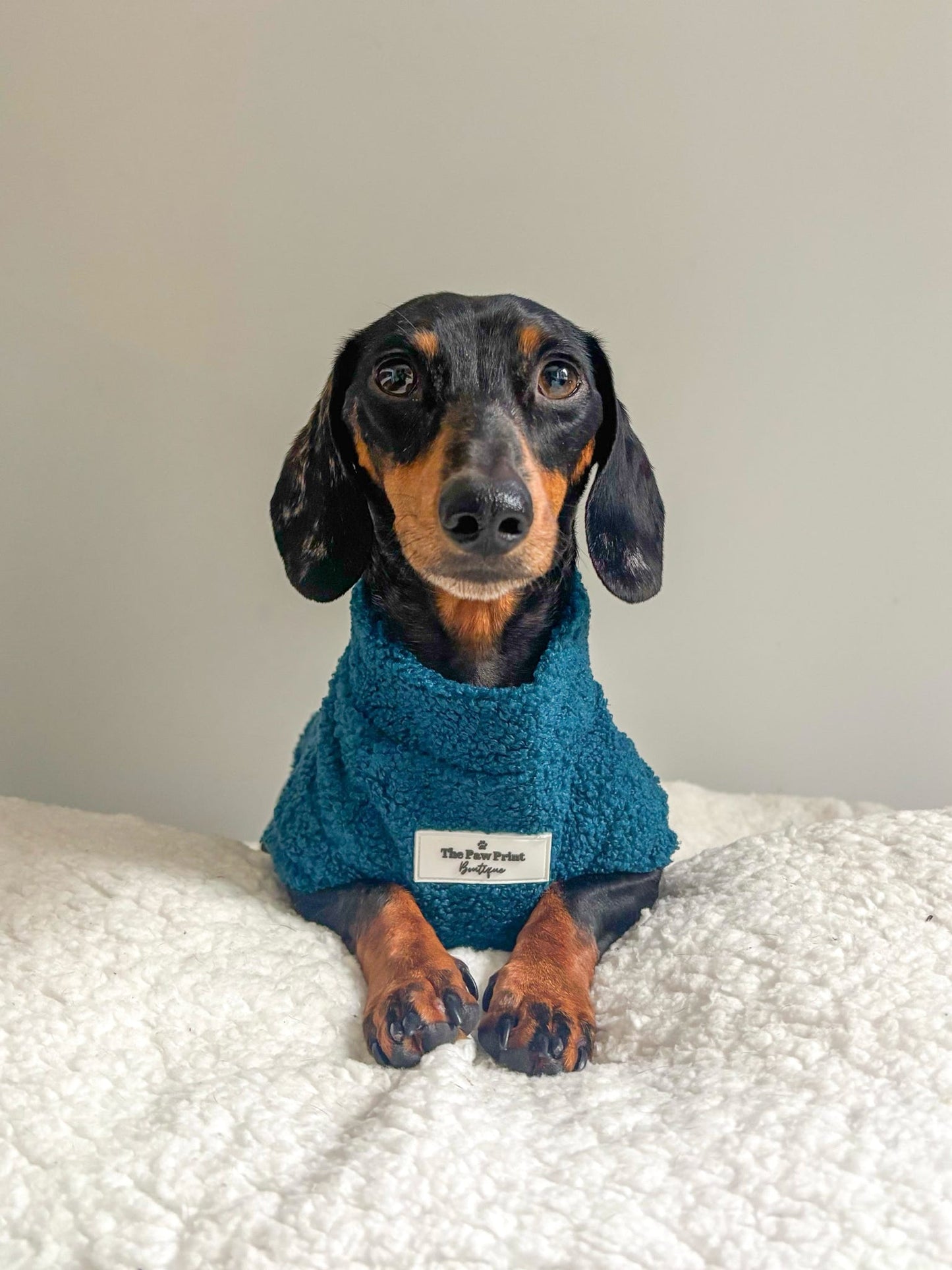 The Teal Teddy Fleece