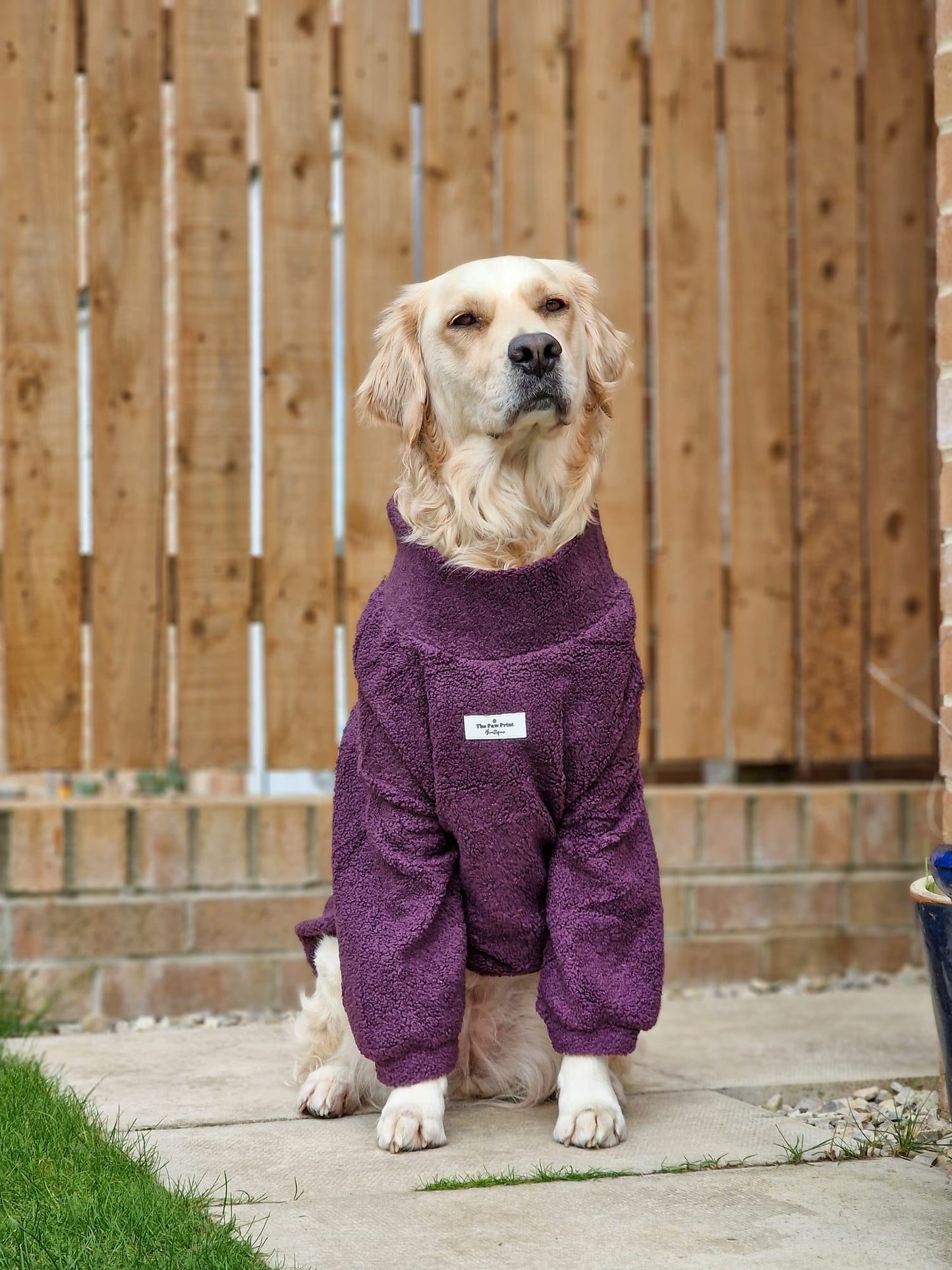 The Plum Teddy Fleece