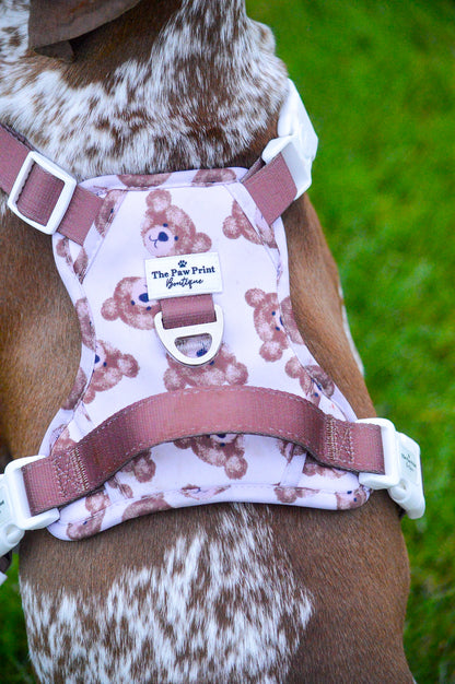 The Little Bear Cub Adventure Paws Harness