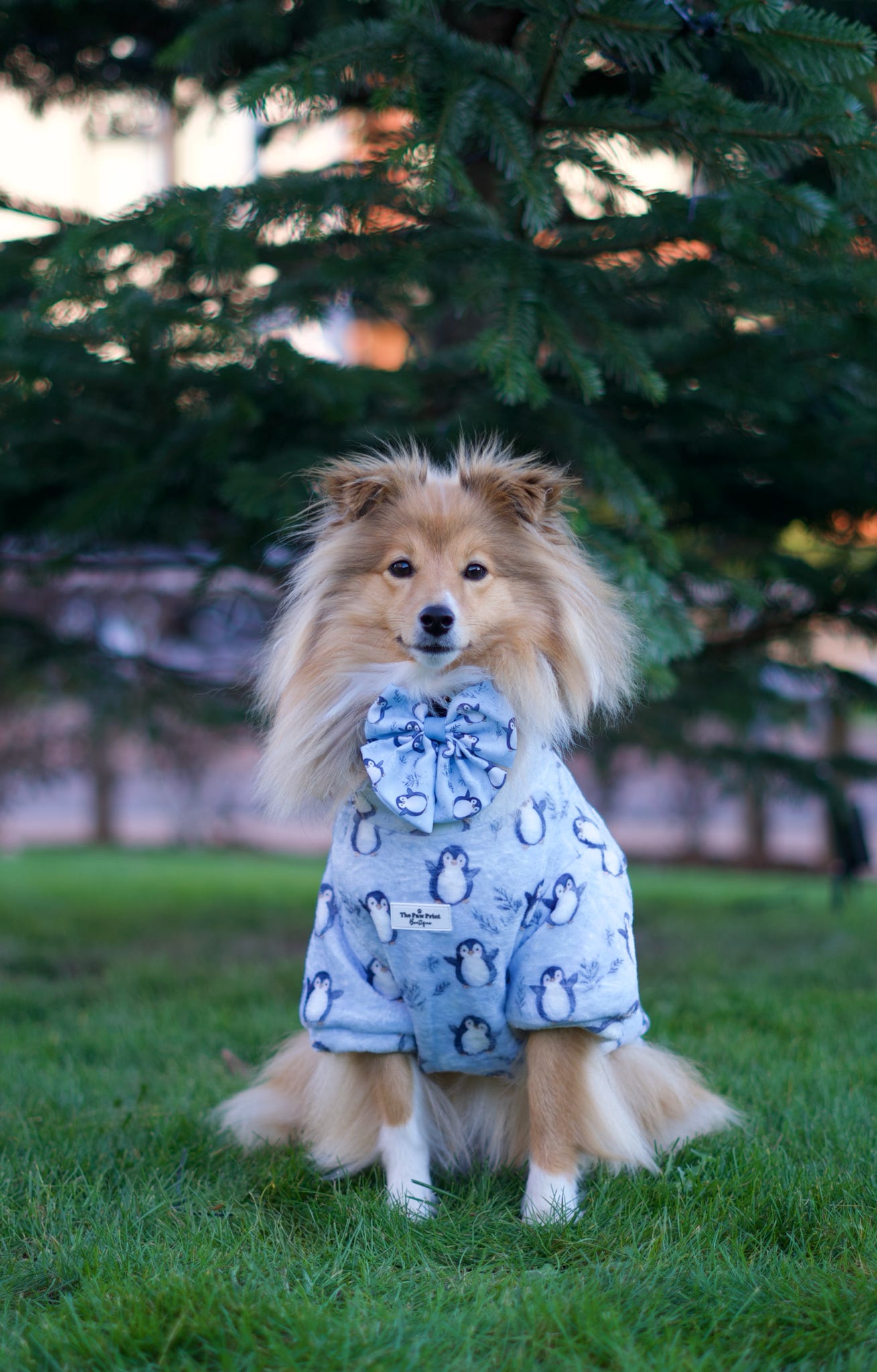 Percy Penguin Snuggle Fleece