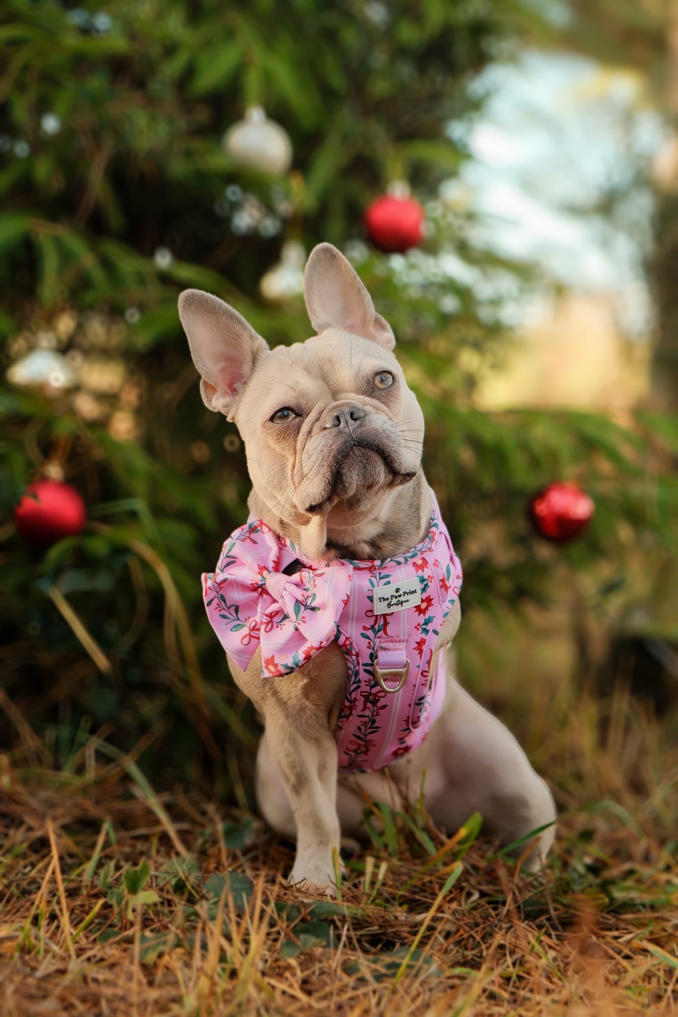 Merry Pinkmas Bow Tie