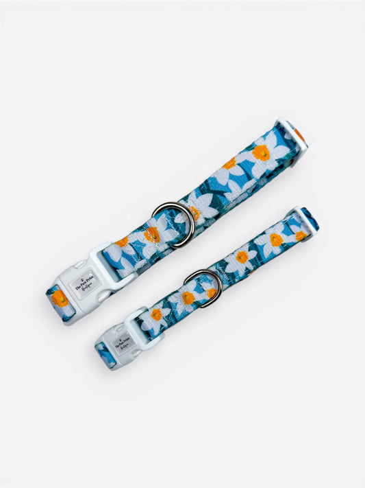 Daffodil Daze Collar