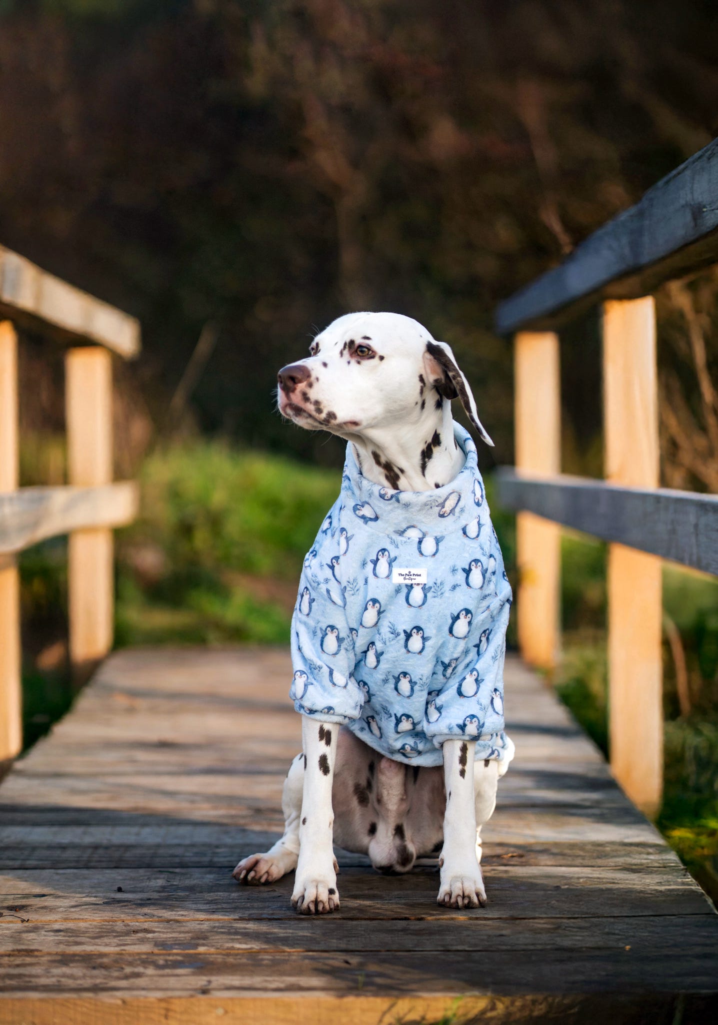 Percy Penguin Snuggle Fleece