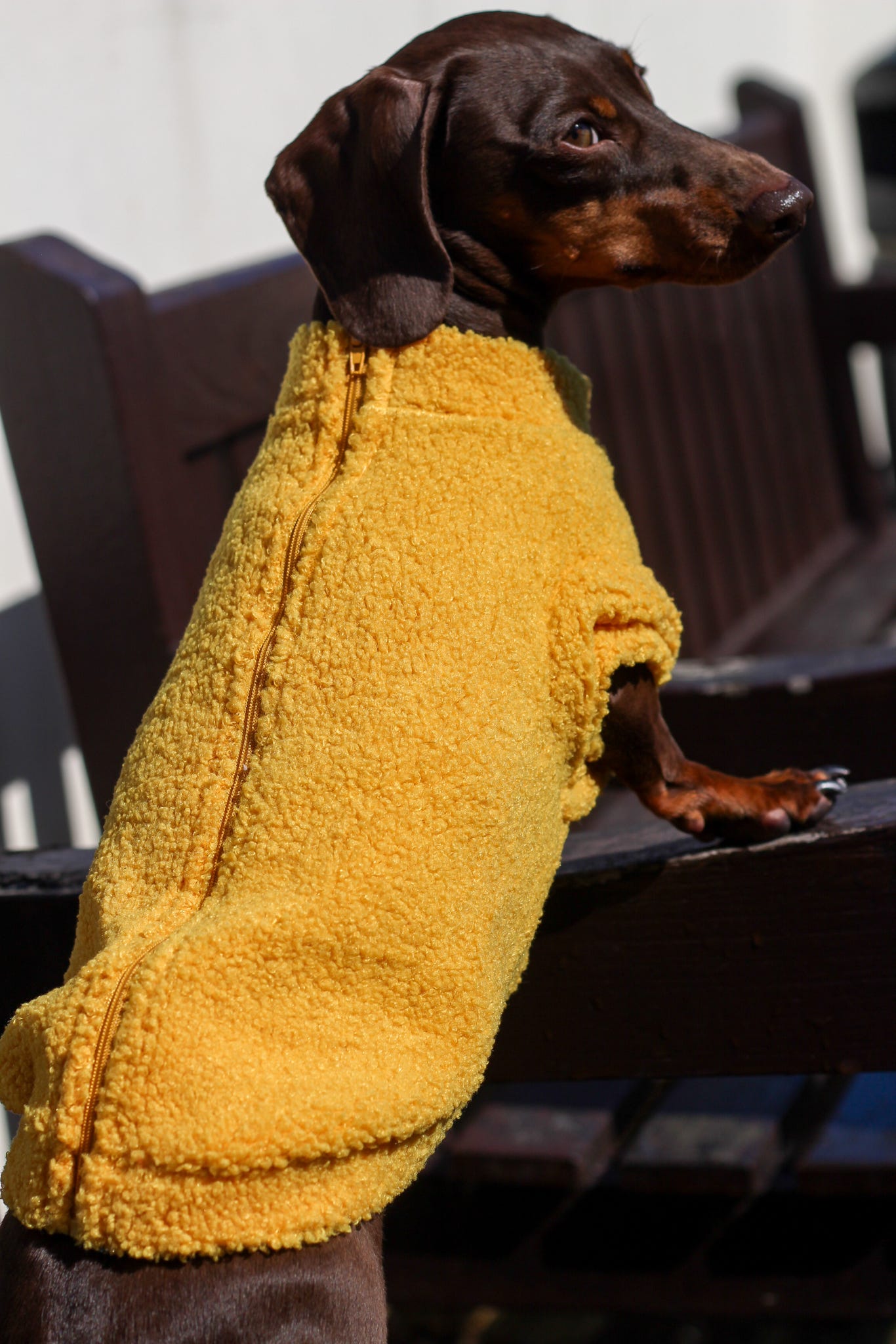 Teddy Fleece - Mustard