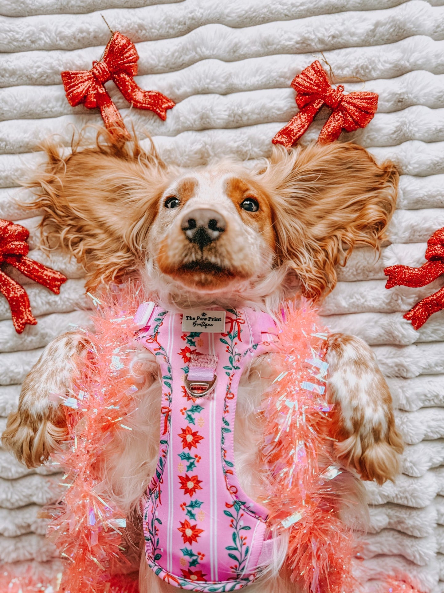 Merry Pinkmas Adventure Paws Harness