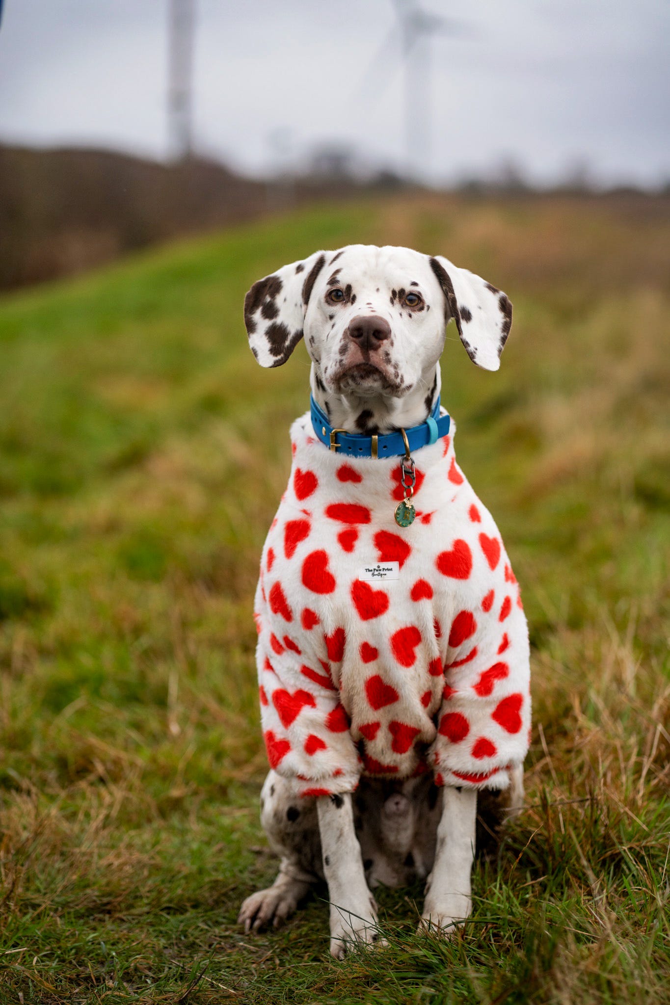 The Love Hearts Fluffy & Fabulous Fleece - Red & White
