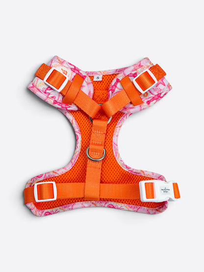 Under the Sea Adjustable Harness