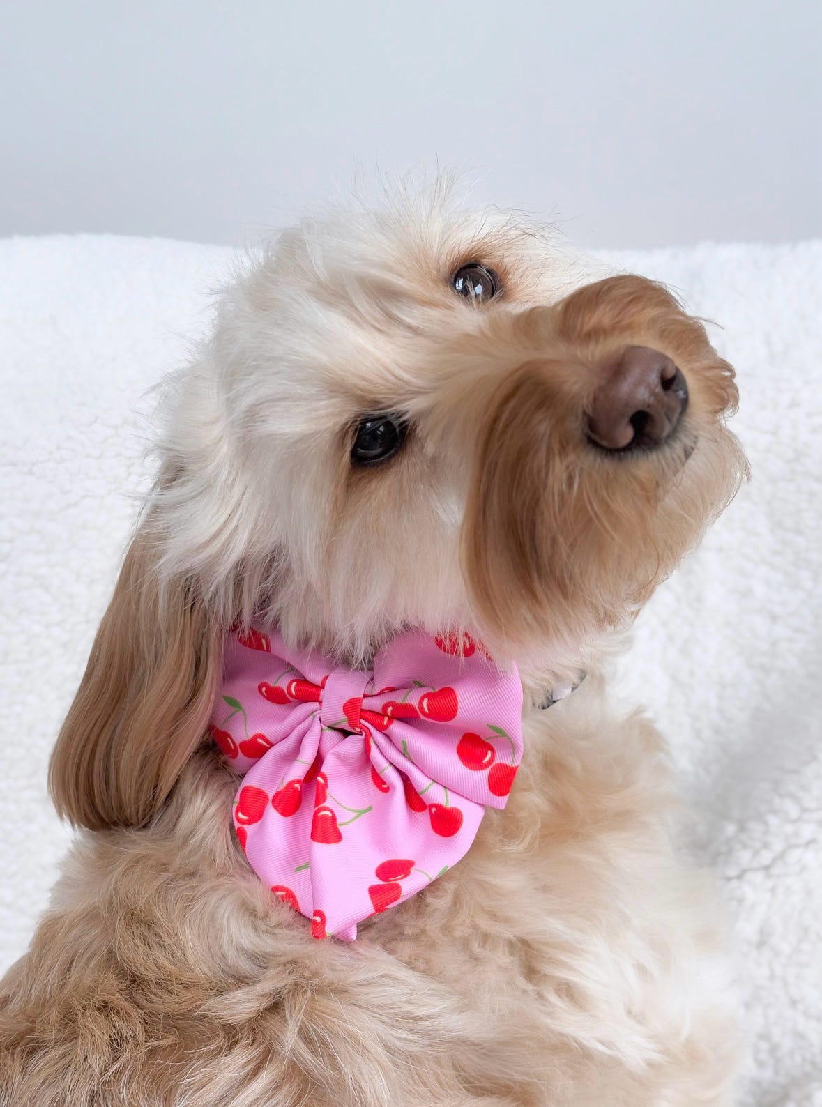The Cherry on Top Bow Tie