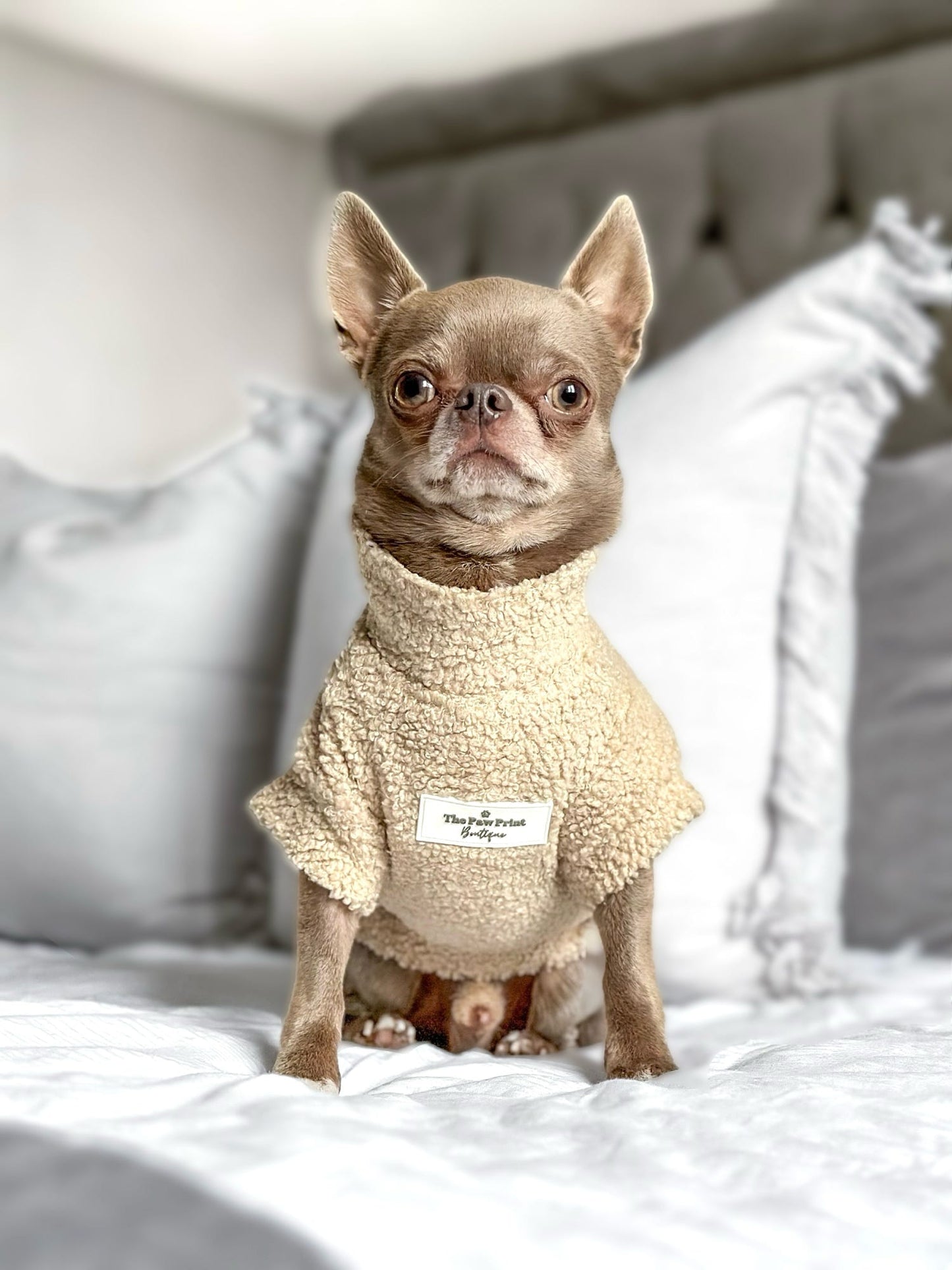 The Beige Teddy Fleece