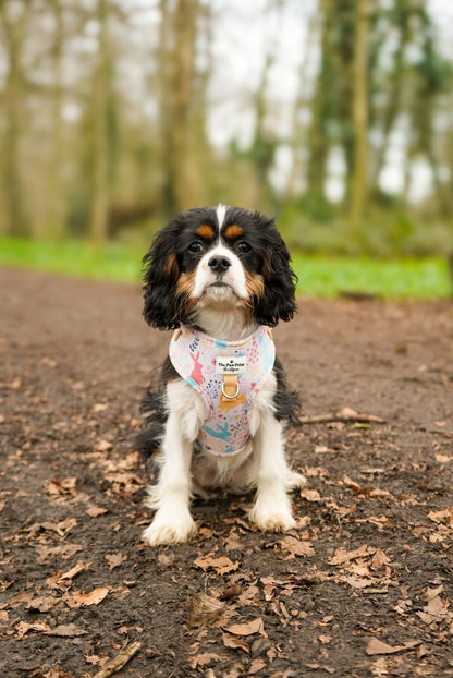 Hop into Bloom Adventure Paws Harness