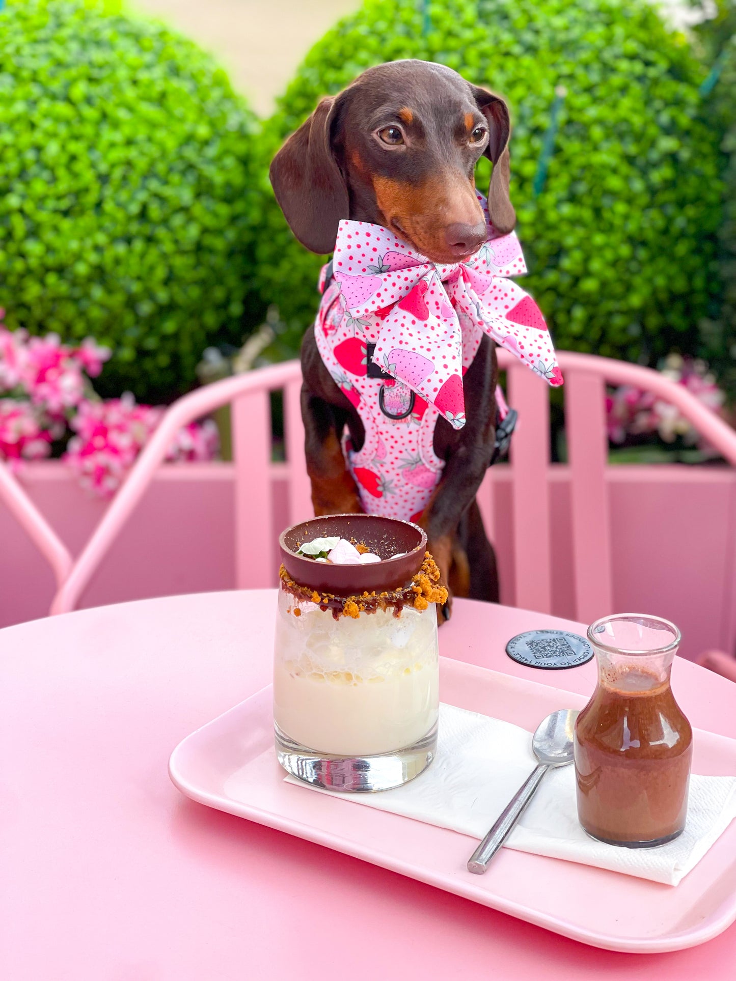 The Sweet Strawberries Harness